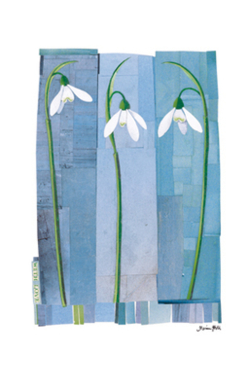 This sympathy greetings card from Paper Rose has three white snowdrops on a blue background and With Love written on the front. This thoughful card is ideal to send to someone who has lost someone special and has With Deepest Sympathy written inside. It comes complete with a blue envelope and is a lovely sympathy card from Paper Rose.